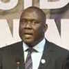Photo de Frank Mwenifumbo