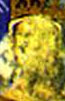 Portrait de Andras II
