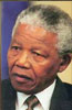 Portrait de Nelson