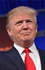 Portrait de Donald