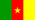 Drapeau Cameroun